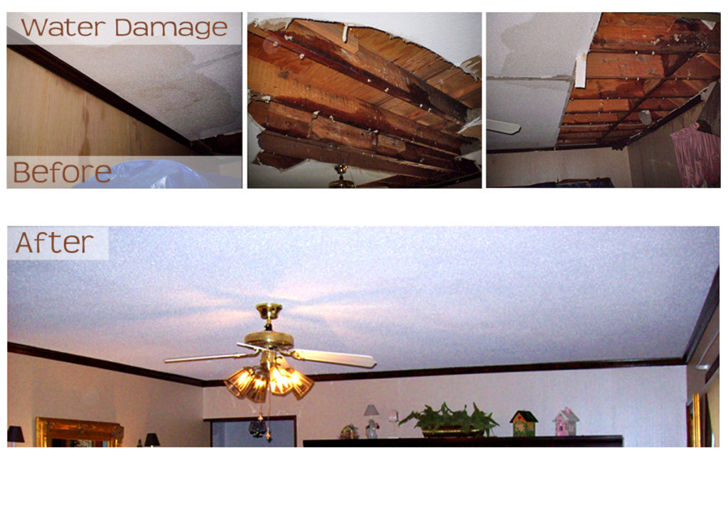 Rebuilding & Restoration